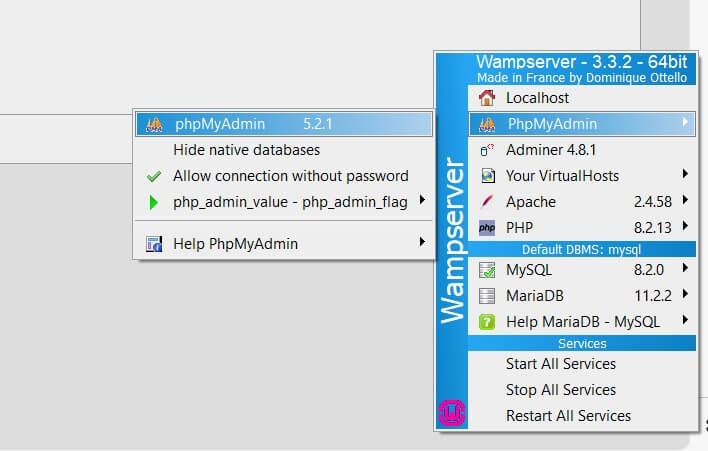 access phymyadmin on localhost